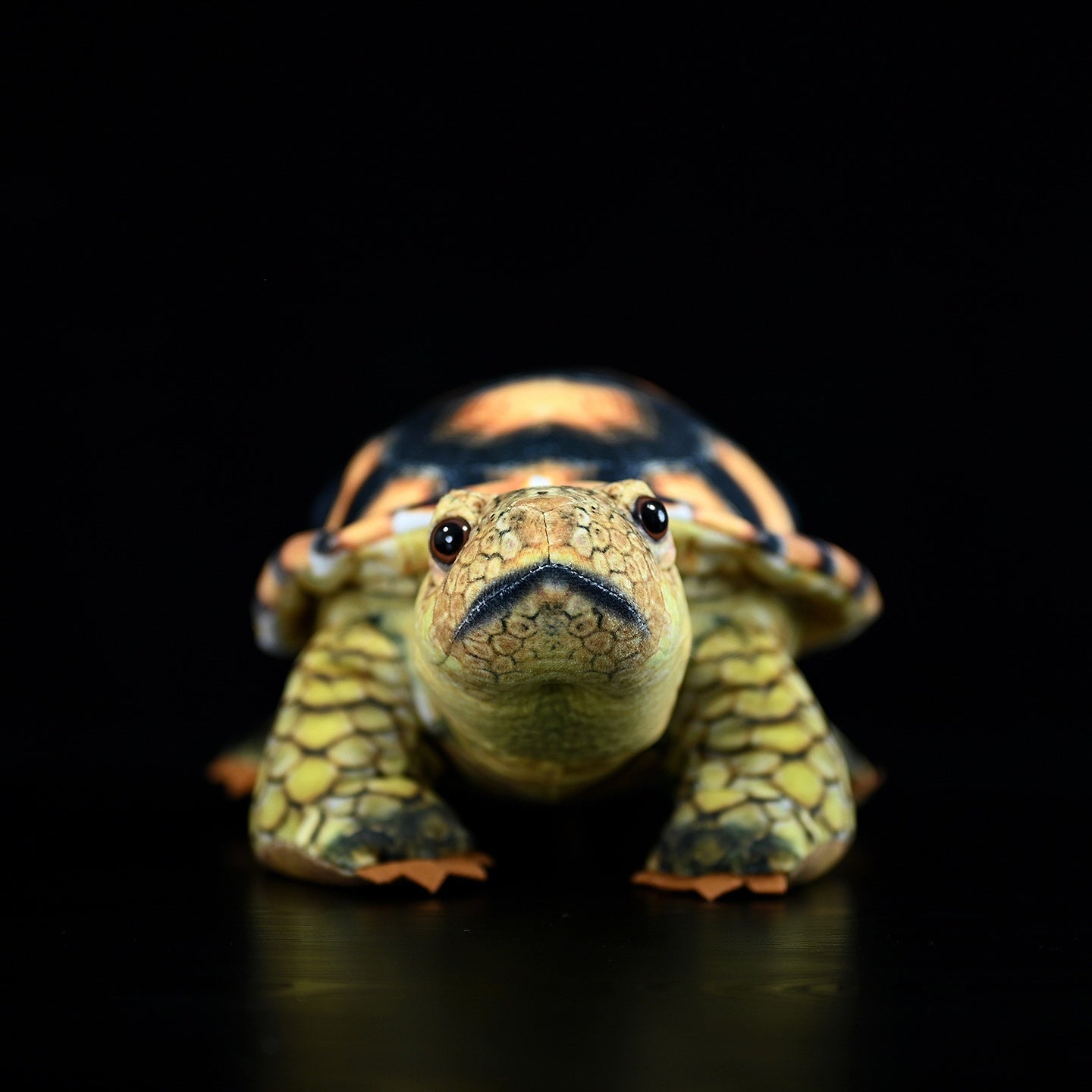 Simulated Land Turtle Doll Cute Turtle Doll Plush Toy