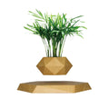 Creative Magnetic Levitation Planter by Innovative Patent