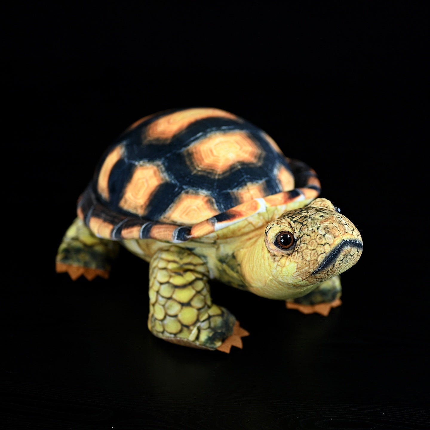 Simulated Land Turtle Doll Cute Turtle Doll Plush Toy