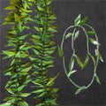 Ti Leaf Leis (Single, Thick, Flowers, or no flowers)