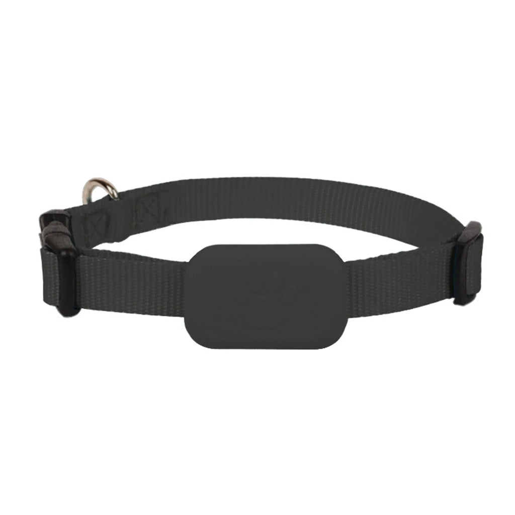 PawTrack Pro: Real-Time GPS Smart Collar for Dogs