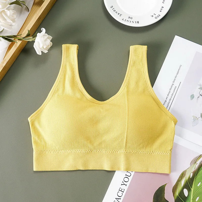 Seamless Bra Top For Women
