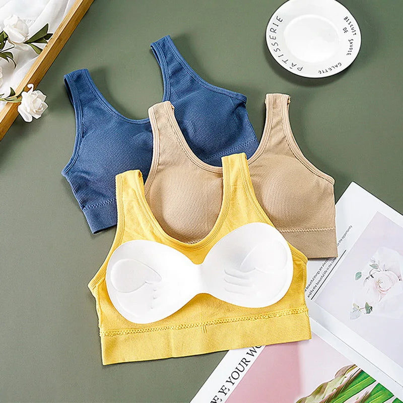 Seamless Bra Top For Women