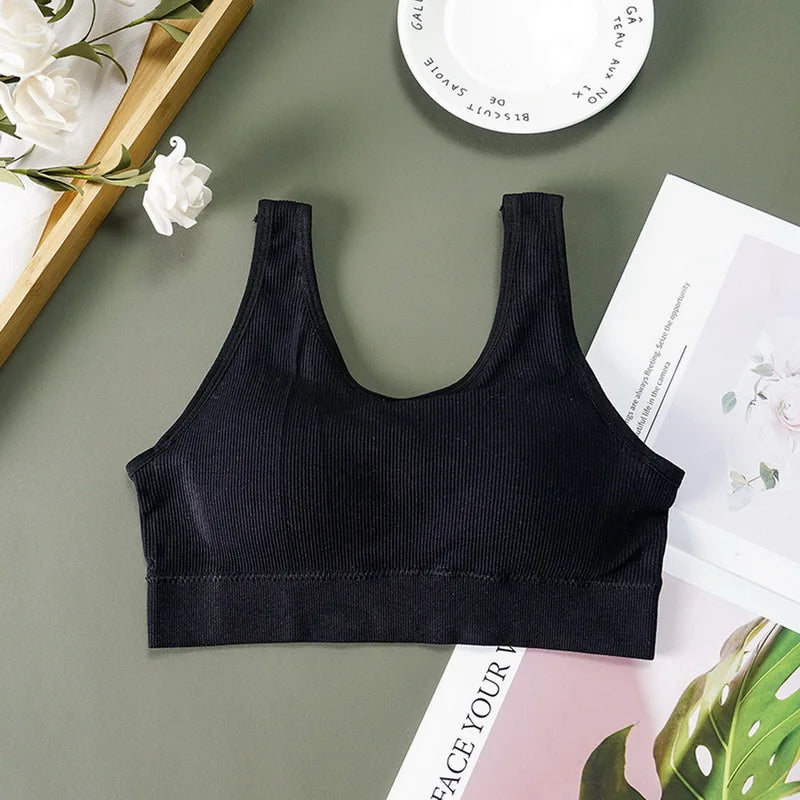 Seamless Bra Top For Women