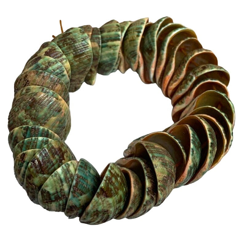 New Green Brown Cockle Shell Costume Jewelry Summer Beach Stretch Bracelet