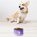 CalmCaressASMR Pet Bowl